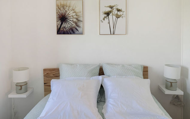 Le coquelicot - Photo 5