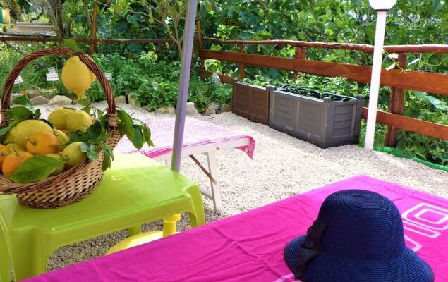 Nataly Country House - Photo 34