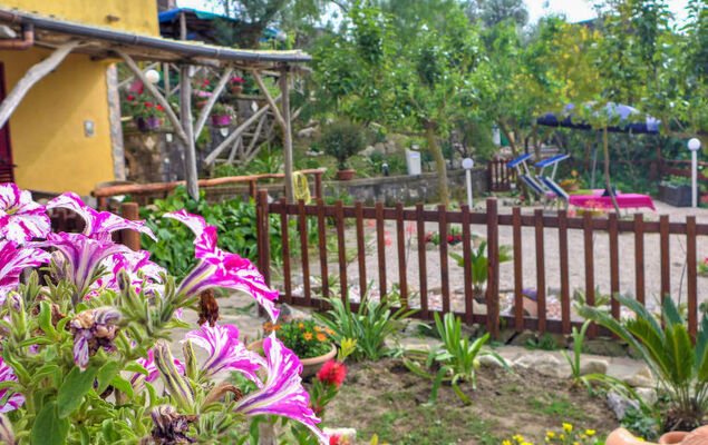 Nataly Country House - Photo 37