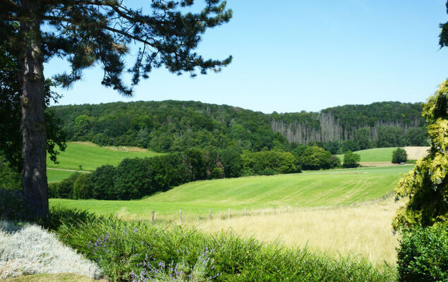 Wiesenhütte - Photo 35