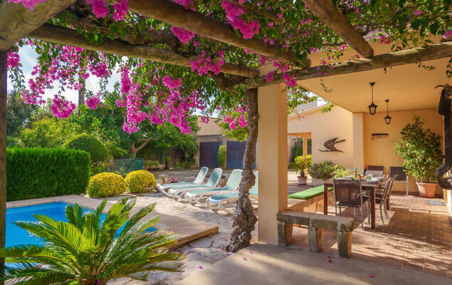 La Truyola Pool Finca - Photo 28