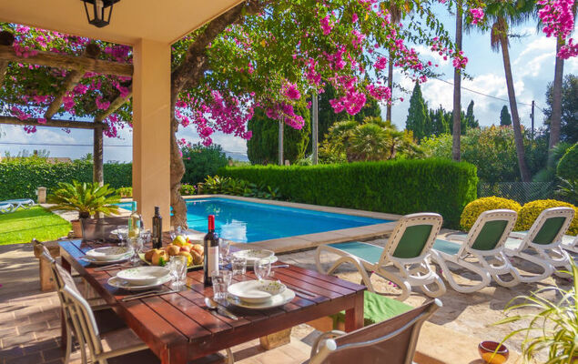 La Truyola Pool Finca - Photo 29