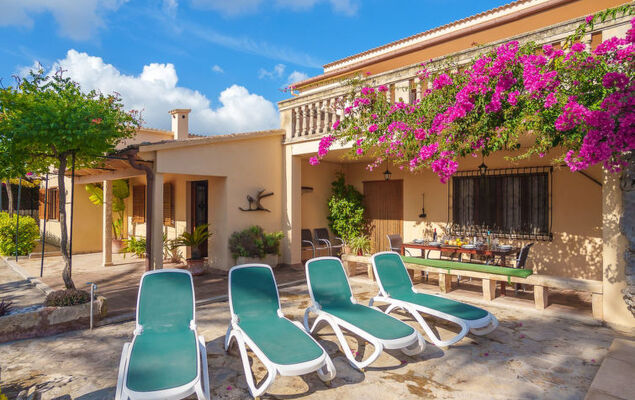 La Truyola Pool Finca - Photo 39