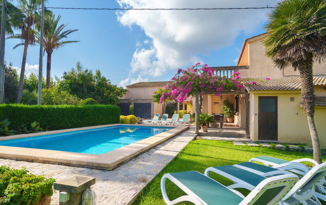 La Truyola Pool Finca - Photo 42