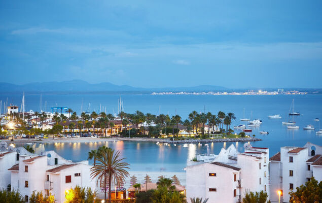 La Truyola Pool Finca - Photo 44