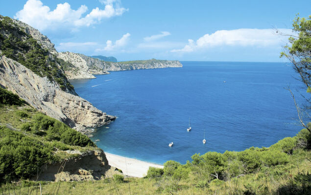 La Truyola Pool Finca - Photo 47