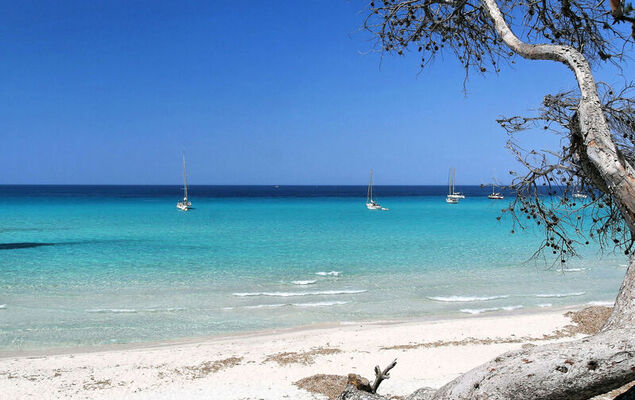 Suite une chambre - Photo 29