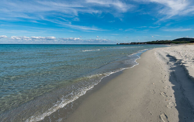 Blue House - Photo 25