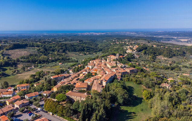 Rio Del Sole - Photo 40