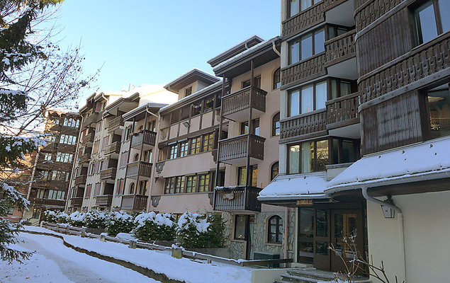 Jonquilles - Photo 3