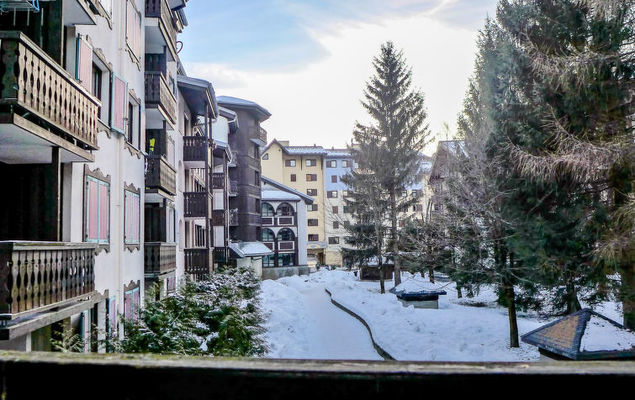 Jonquilles - Photo 8