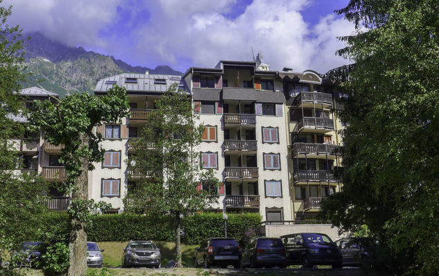 Jonquilles - Photo 9